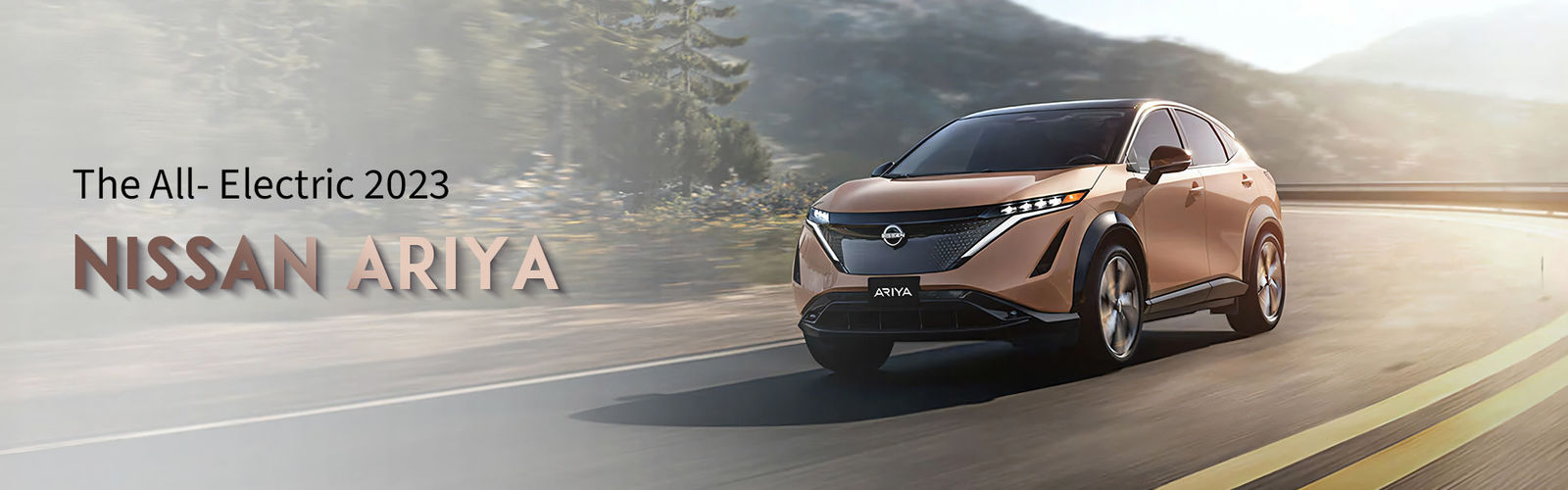 Kalite Dongfeng EV Araç Fabrika