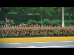 Dfs 5 Kapı 5 Koltuklu Elektrikli SUV Honda ns1 Yeni Elektrikli Arabalar Sol El Sürüşü FWD Elektrikli Araba EV Araba